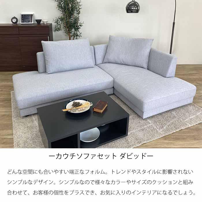 組立設置サービス付 カウチソファ カバーリングソファ クッション2個