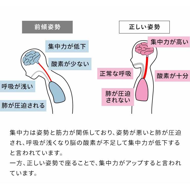 プロポーションチェア Keepy 子ども部屋 学習椅子 学習イス 学習チェア 姿勢改善 かわいい CH-910の画像