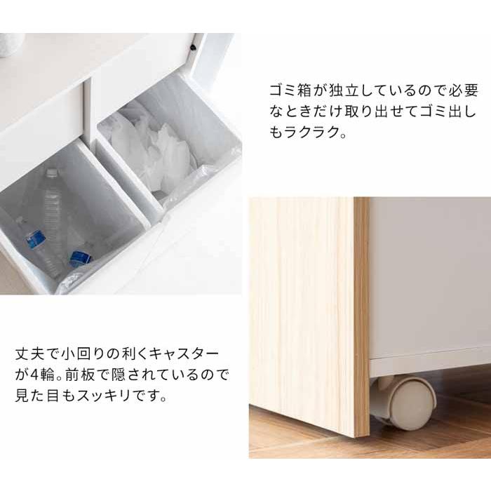 ゴミ箱 分別キャスターダストボックス 分別2連式 ヘリオス DB