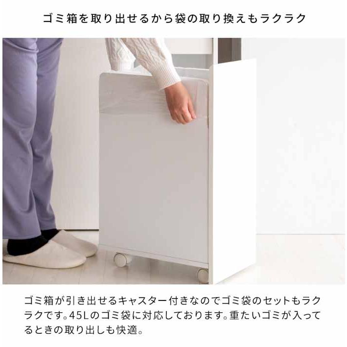 ゴミ箱 分別キャスターダストボックス 分別2連式 ヘリオス DB ゴミ箱 分別キャスターダストボックス 分別2連式 ヘリオス DB