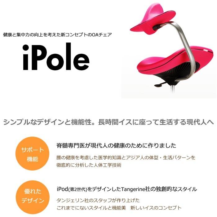 開梱設置 iPole5 アイポール ウリドルチェア Sサイズ パソコンチェア SOHO オフィスチェアー メッシュファブリック テレワーク 在宅｜mifuji｜09