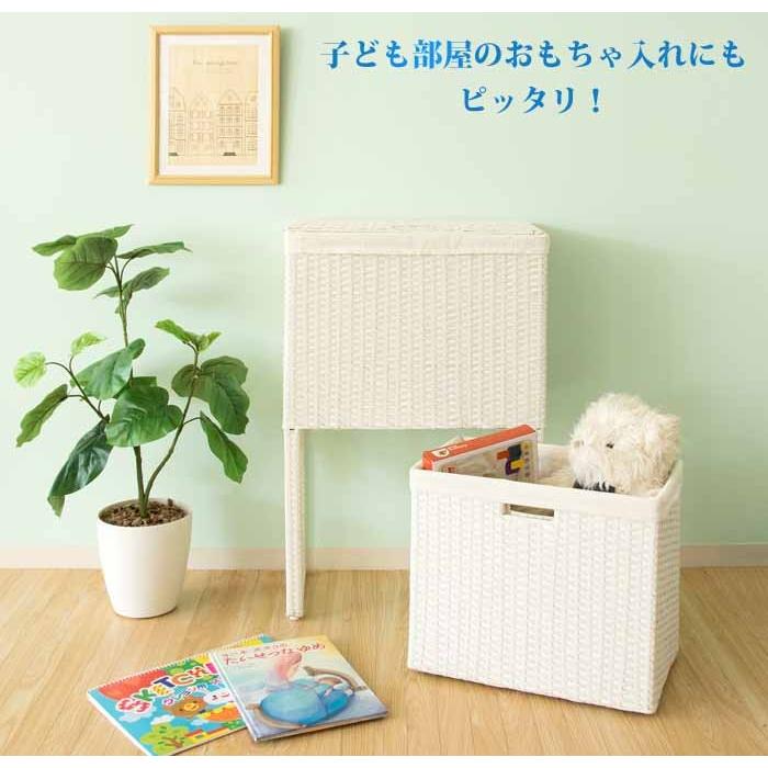 ランドリーボックス 2段 Diario ディアリオ 人工ラタン ラタン