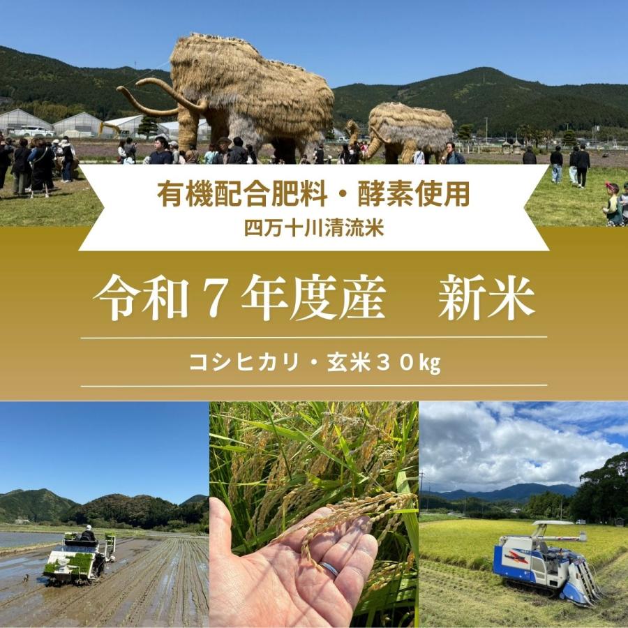 令和7年産 コシヒカリ】｜有機配合肥料使用 減農薬栽培 玄米30kg 愛媛