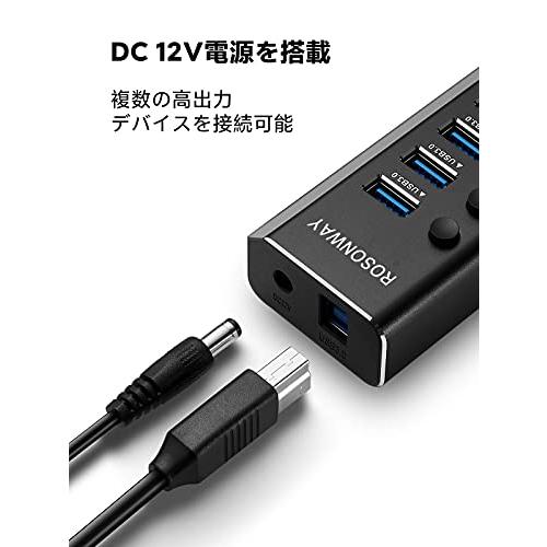 ROSONWAY USB ハブ 3.0 16ポート アルミ製 Hub 100W セルフ
