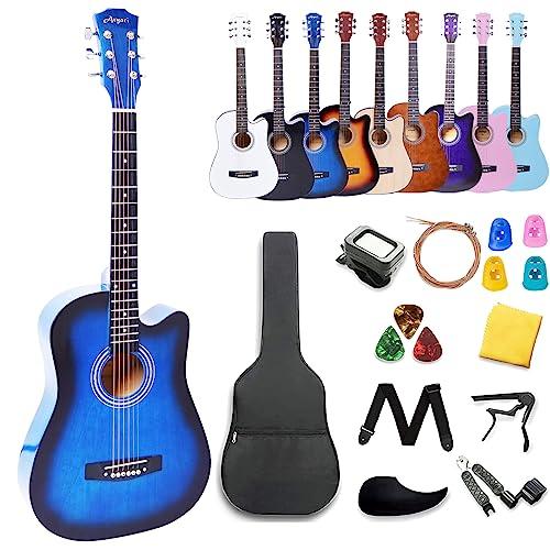 Aryari アコースティックギター 初心者セット 38インチ 22点セット