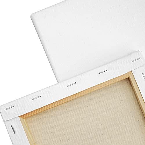 AUREUO 張りキャンバス セット F20 (72.7cmX60.6cm) 中目 100%コットン 2枚 初心者 絵画用具 芸術絵創作 現代油|migaru-315|03