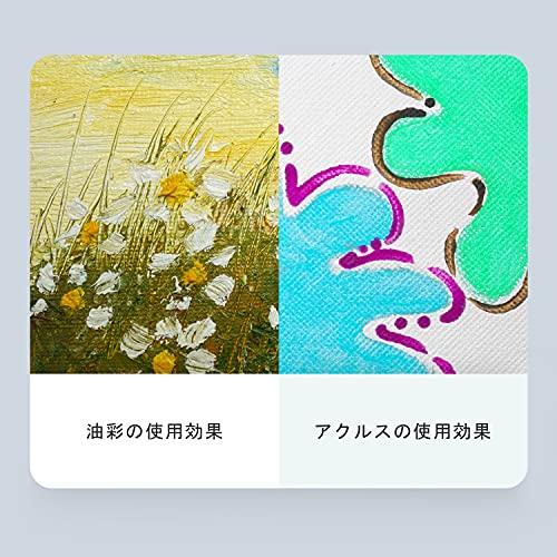 AUREUO 張りキャンバス セット F20 (72.7cmX60.6cm) 中目 100%コットン 2枚 初心者 絵画用具 芸術絵創作 現代油|migaru-315|06