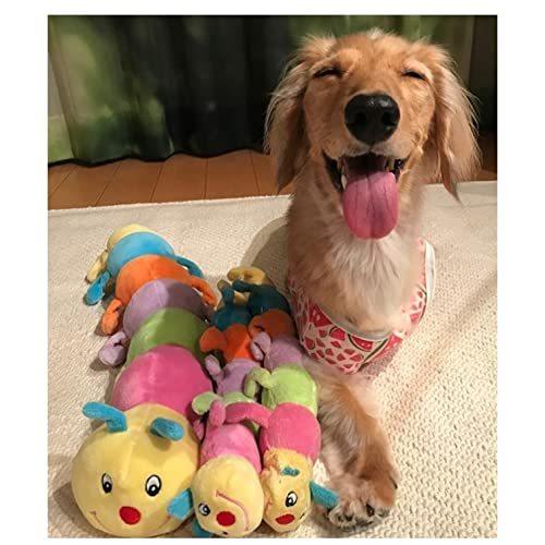 Platz Pet Supplises Fun プラッツ 犬用おもちゃ キャタピー 45cm ー 45cm Obyz7lcpb3 おもちゃ Imsservice Co Id