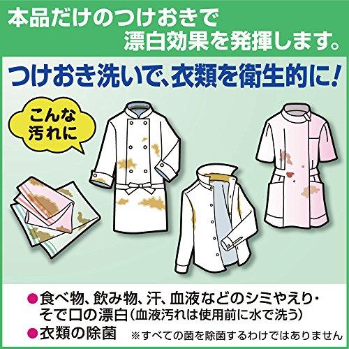 業務用 衣料用粉末酸素系漂白剤ワイドハイターEXパワー 粉末タイプ 業務用花王プロフェッショナルシリーズ｜migaru-315｜04