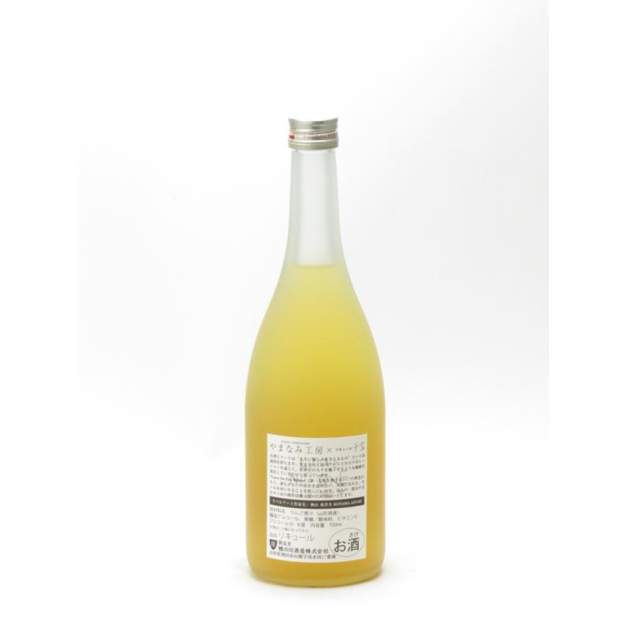 楯の川 子宝リキュール りんご 【やまなみ工房×楯の川酒造】 720ml お中元 御中元 暑中見舞い あすつく ギフト のし 贈答品 |  | 01