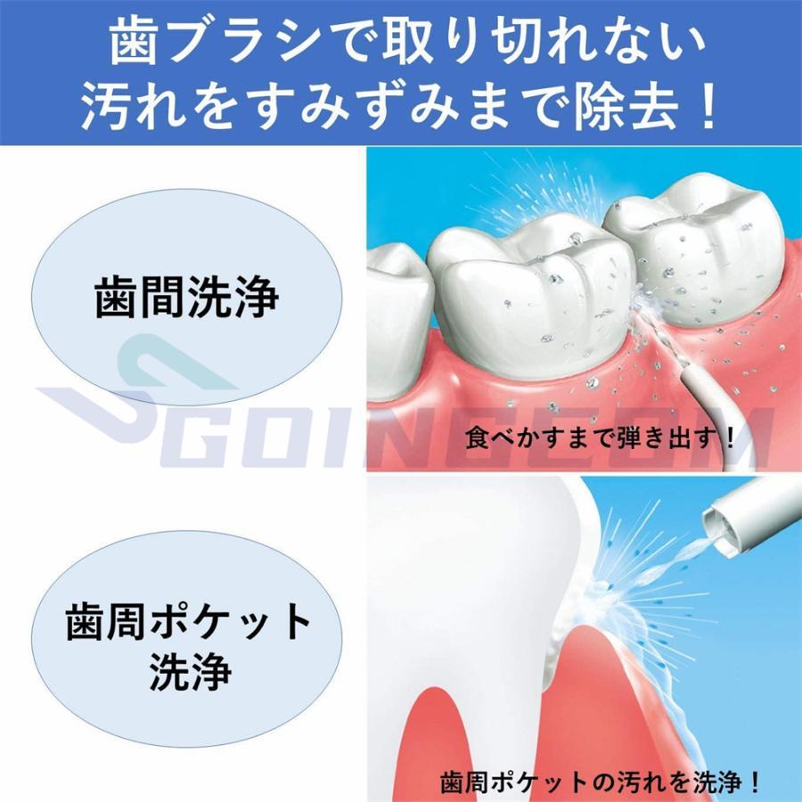 口腔洗浄器 ジェットウォッシャー 歯垢除去 日本製 電動 口内洗浄機