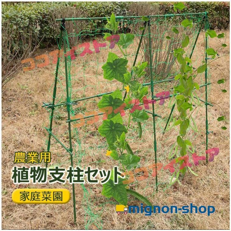 植物支柱 園芸支柱 つる植物棚支柱 組み立てかんたん棚支柱セット つぎ足し 継ぎ足し式 キュウリ 支柱 ゴーヤ きゅうりネット 合掌作り の商品画像