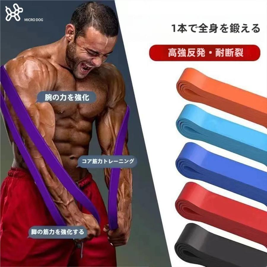 筋トレ チューブ トレーニングチューブ 強度別 懸垂チューブ 懸垂補助