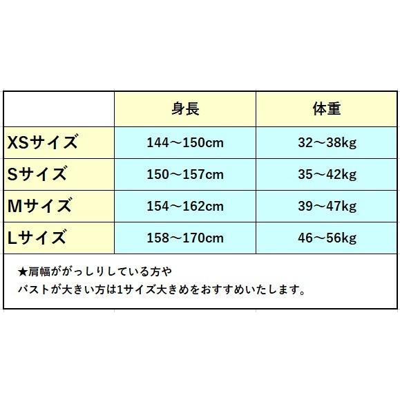バレエ レオタード 大人 Artemis/アルテミス Sporty Block 全面