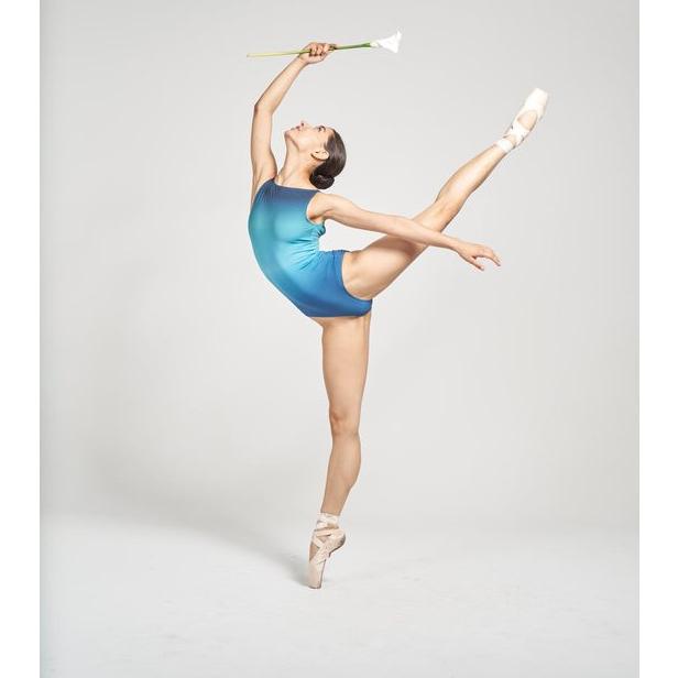 バレエ レオタード 大人 Artemis/アルテミス Sporty Block 全面