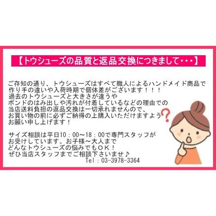 トゥシューズ ブロック　セレナーデ3.5 E BLOCH トウシューズ ブロック セレナーデ 初心者〜上級者まで