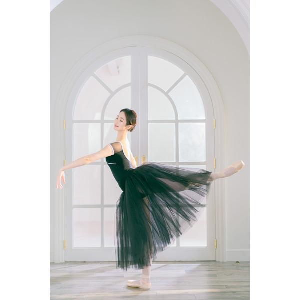 バレエ レオタード 大人 半袖 メッシュ ミホローブ ブラカップ差込可