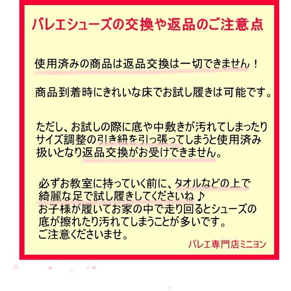 バレエシューズ スプリット ソール サンシャ Pro-1C 世界中のプロダンサーが愛用 | Sansha | 17