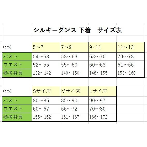 バレエ 下着 ボディー ファンデーション 透けない ヌード シルキー