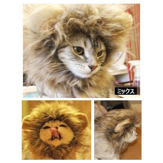 ペット用 コスプレ ライオン かぶり物 帽子 愛猫用 愛犬用 ライオンのかぶり物 たてがみ コスプレグッズ ペット用品 ネコ用品 イヌ用品 ねこちゃん 6orox14n おとりよせ Com 通販 Yahoo ショッピング
