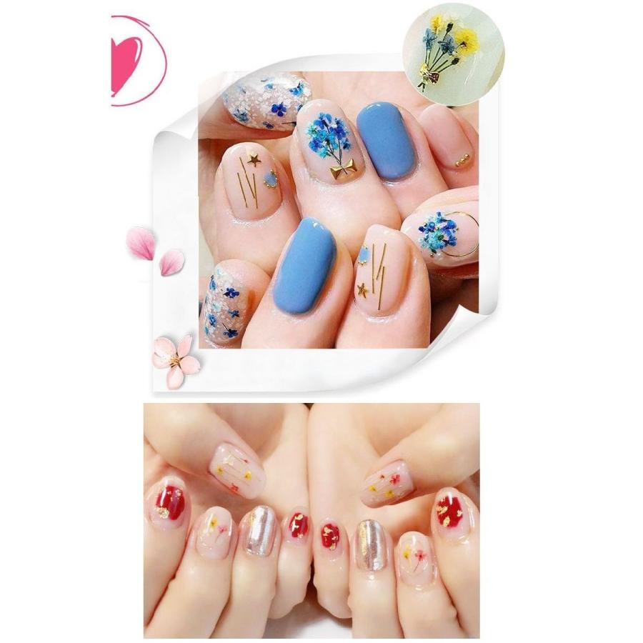 ネイルアート ネイルパーツ 押し花 ドライフラワー フラワーパーツ お花 華やか デコレーション セルフネイル アートツール デコパーツ ネイルアート A Zak 1 おとりよせ Com 通販 Yahoo ショッピング