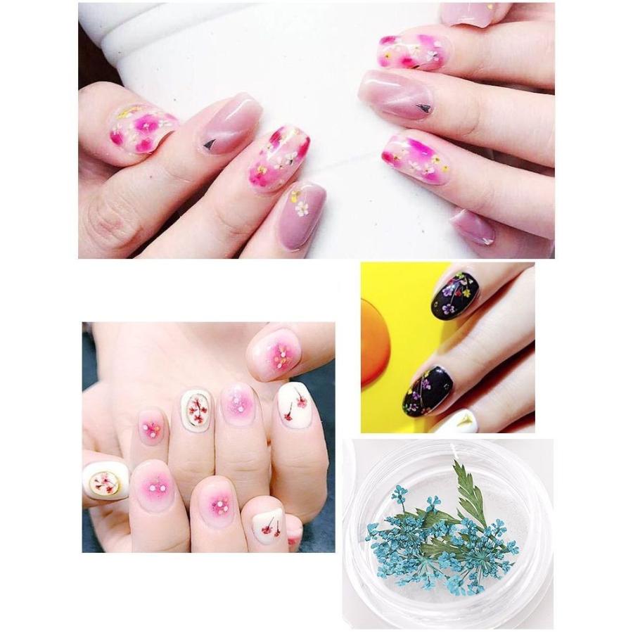 ネイルアート ネイルパーツ 押し花 ドライフラワー フラワーパーツ お花 華やか デコレーション セルフネイル アートツール デコパーツ ネイルアート A Zak 1 おとりよせ Com 通販 Yahoo ショッピング
