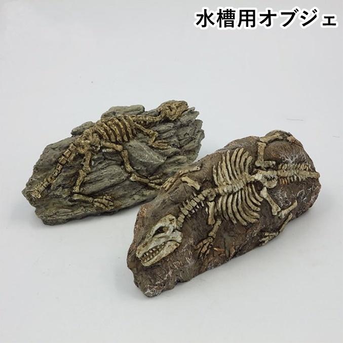水槽用オブジェ 水槽用オーナメント 恐竜の化石 トンボの化石 アクアリウムロック 水中 装飾 内装 観賞魚 熱帯魚 環境 飼育 構築 底 水景 飾り Pet おとりよせ Com 通販 Yahoo ショッピング
