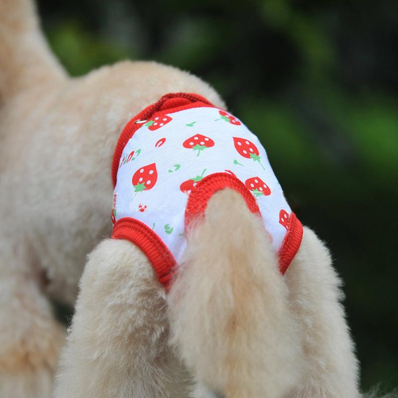 犬用サニタリーパンツ 生理パンツ オムツカバー おむつカバー ドッグウェア ペットグッズ ペット用品 いぬ用品 サニタリーショーツ マナーパンツ ボー Pet おとりよせ Com 通販 Yahoo ショッピング