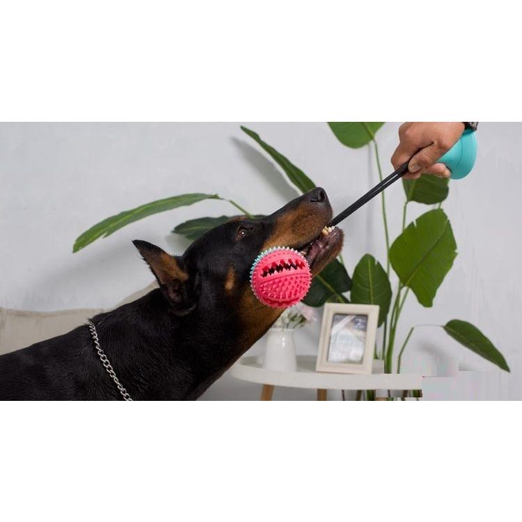 犬のおもちゃ おやつボール 噛むおもちゃ 紐付き 吸盤付き 犬用品 ペット用品 ストレス解消 トレーニング 犬グッズ 小物 雑貨 Pet おとりよせ Com 通販 Yahoo ショッピング