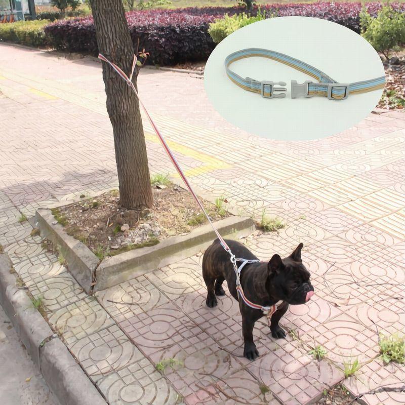 返品送料無料 リード 首輪 2点セット ペットグッズ ペット用品 犬用 猫用 リーシュ カラー 散歩紐 お散歩グッズ お出かけ 牽引紐 トリコロールカラー おしゃれ East Wind Jp