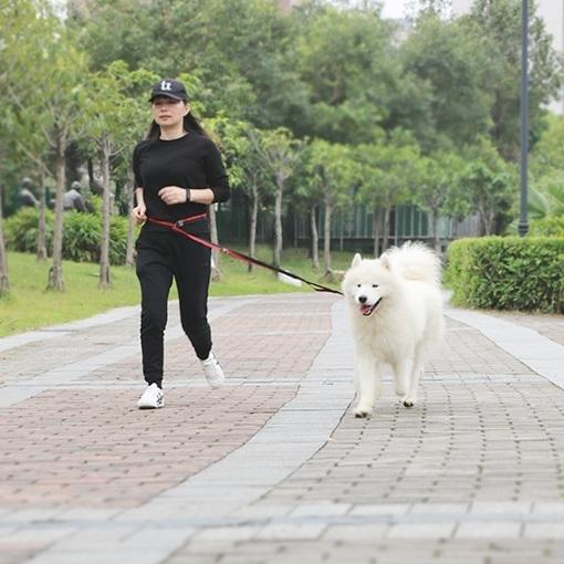 犬用 リード 首輪 小型犬 中型犬 大型犬 ドッグ ペット用品 マルチファンクションリード ジョギングリード ランニングリード 長さ調節可能 飼い主の Pet おとりよせ Com 通販 Yahoo ショッピング