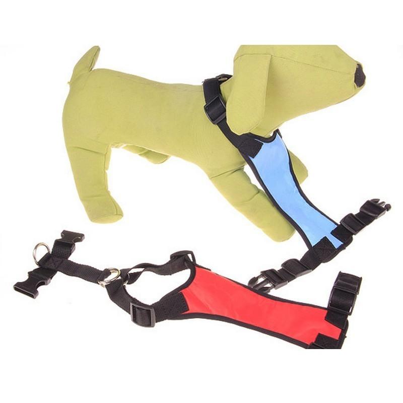 最大 Offクーポン ハーネス リード 単品 ペットグッズ ペット用品 犬用 胴輪 リーシュ 散歩紐 お散歩グッズ お出かけ 牽引紐 メッシュ おしゃれ いぬ イヌ 小型犬 Alaxione Fr