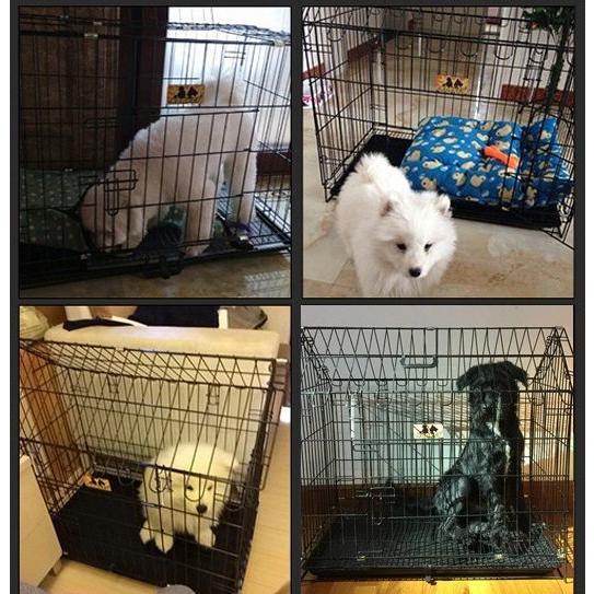 ペット用ケージ ペットケージ 犬 イヌ 猫 ネコ 取っ手付き 檻 小屋 犬小屋 折り畳み式 コンパクト収納 お留守番 しつけ シンプル ワンちゃん ネ Pet 272 おとりよせ Com 通販 Yahoo ショッピング