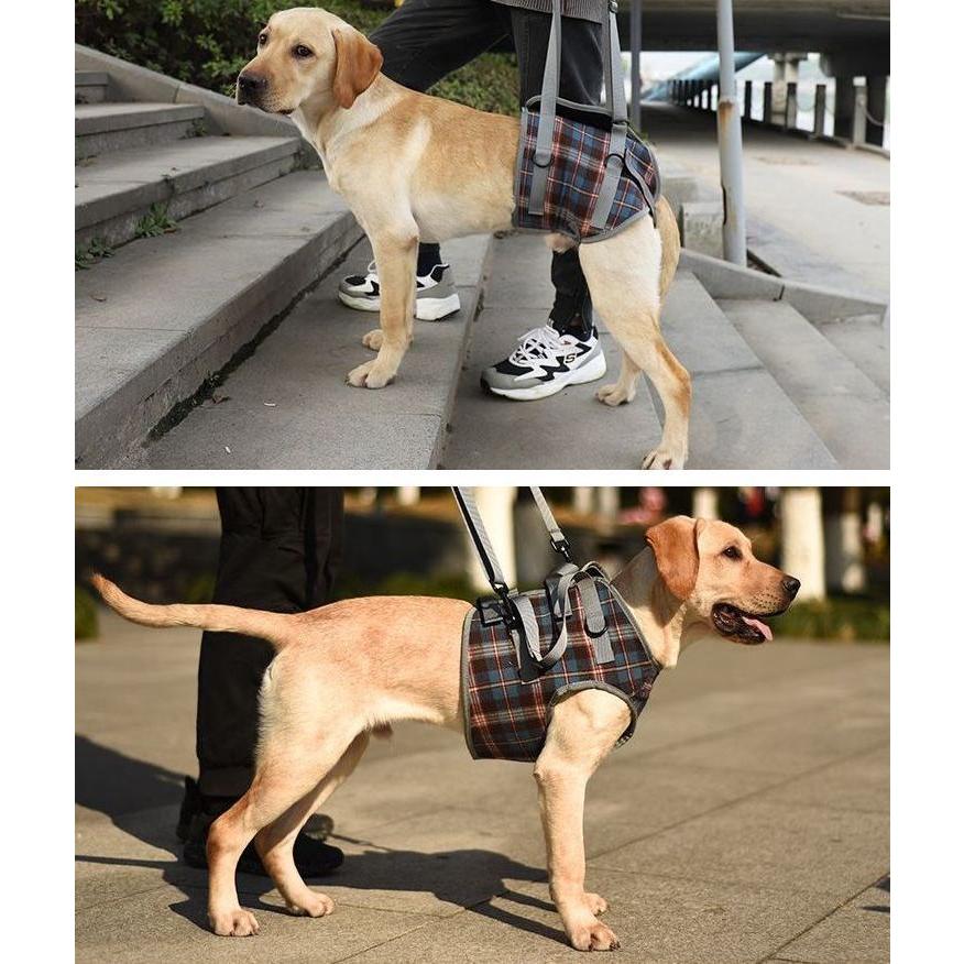 ハーネス 胴輪 前足用 後ろ足用 単品 大型犬 中型 シニア 老犬 介護補助 歩行サポート ドッグウェア ペット用品 お散歩グッズ 在宅ケア 持ち手長 Pet おとりよせ Com 通販 Yahoo ショッピング