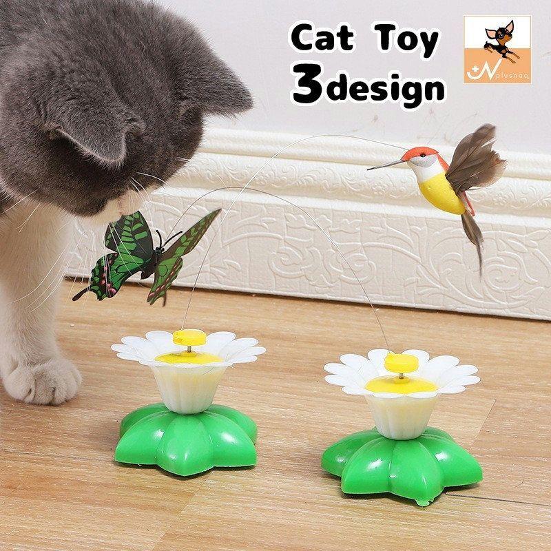 入場料 性別 生き残り 猫 鳥 おもちゃ 補足 または もっと少なく