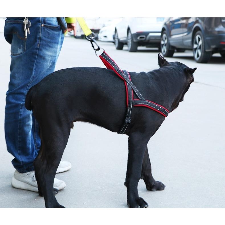 犬用 ハーネス 胴輪 中型犬 大型犬 ドッグ ペット用品 Dodopet 長さ調節可能 反射 リード無し ウォーキング フック 明るいカラー お散歩 Pet おとりよせ Com 通販 Yahoo ショッピング