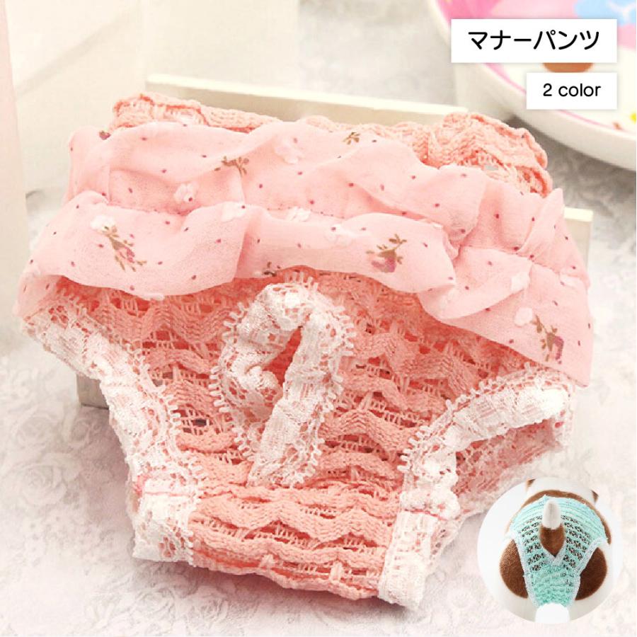 送料無料 一部地域を除く サニタリーパンツ ペット用品 マナーパンツ 犬用マナーパンツ 犬 いぬ ペット 犬服 服 介護 お出かけ マーキング防止 ぬげにくい レース フリルし Alaxione Fr