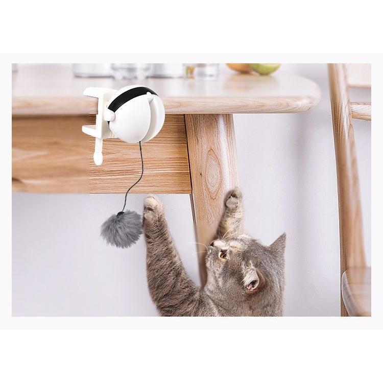 猫じゃらし 電動 ペット用品 おもちゃ トイ 電池式 自動 ふわふわ ヨーヨー 固定器具付き 運動不足解消 ストレス解消 キャットトイ  :pet-52170:おとりよせ.com - 通販 - Yahoo!ショッピング