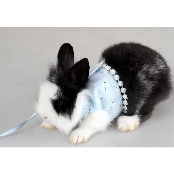小動物用ハーネスリード お散歩グッズ お出掛け用品 ウエア 洋服 ノースリーブ風 タンクトップ風 マジックテープ 花 花柄 かわいい おしゃれ 小動物 Pet おとりよせ Com 通販 Yahoo ショッピング