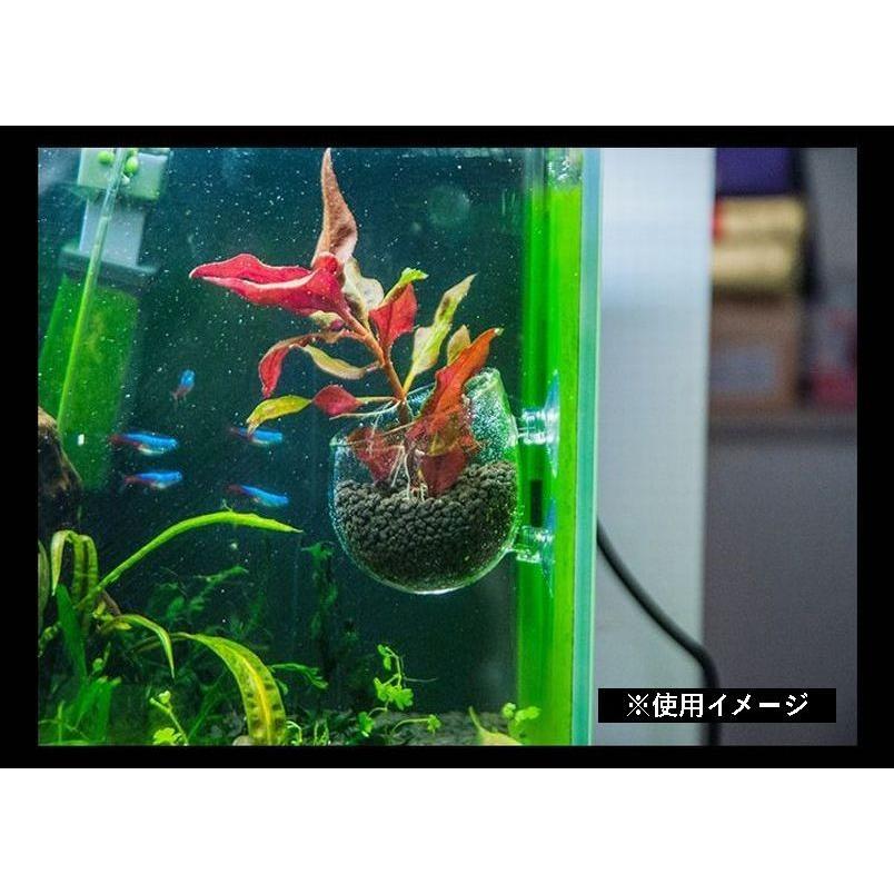 ミニポット カップ ミニ ホルダー 装飾 植栽 水生植物 熱帯魚 メダカ 金魚 水槽レイアウト アクアリウムグッズ 水槽用品 レイアウト用品 装飾 ペ Pet おとりよせ Com 通販 Yahoo ショッピング