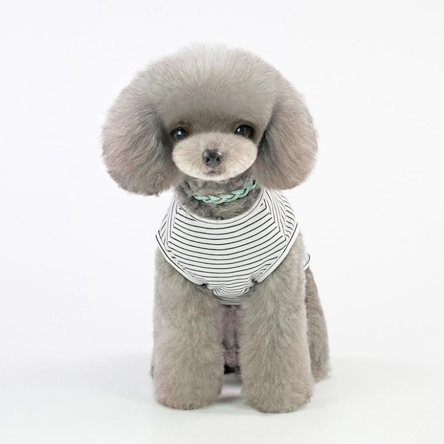 ペット服 Tシャツ 犬 猫 小型犬 ペットウエア ボーダー イラスト しろくま お散歩 お出掛け ペット用品 ドッグ キャット 春 夏 Pet おとりよせ Com 通販 Yahoo ショッピング