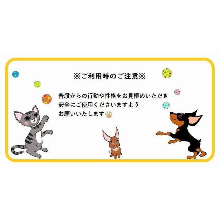 猫用おもちゃ もぐらたたき モグラ叩き ペット用品 トイ 木製 おしゃれ 可愛い 一緒に遊べる 運動不足解消 ストレス解消 遊び道具 オモチャ ネコグ Pet おとりよせ Com 通販 Yahoo ショッピング