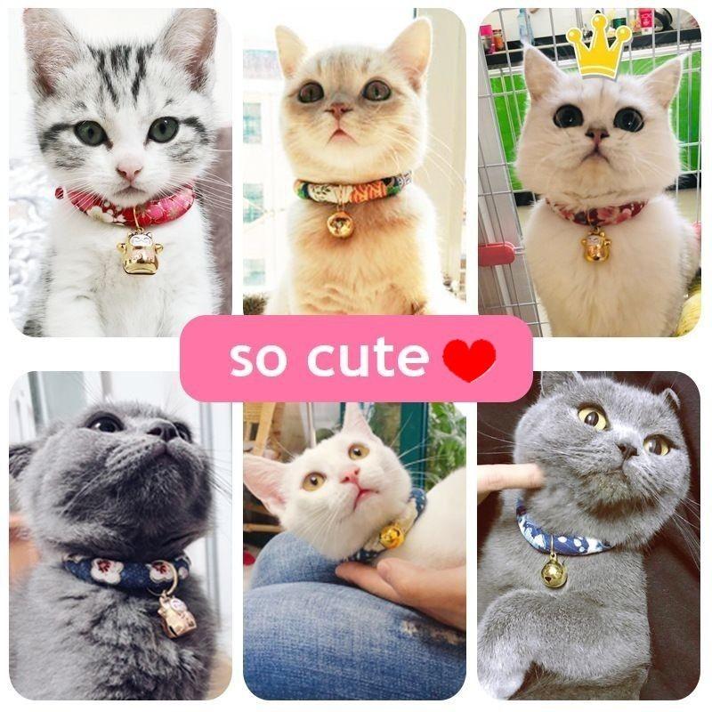 ペット用アクセサリー チョーカー 首輪 ネックレス 犬用 猫用 小型犬 中型犬 ドッグ キャット かわいい おしゃれ ネコチャーム付き カラフル 単品|mignonlindo|04