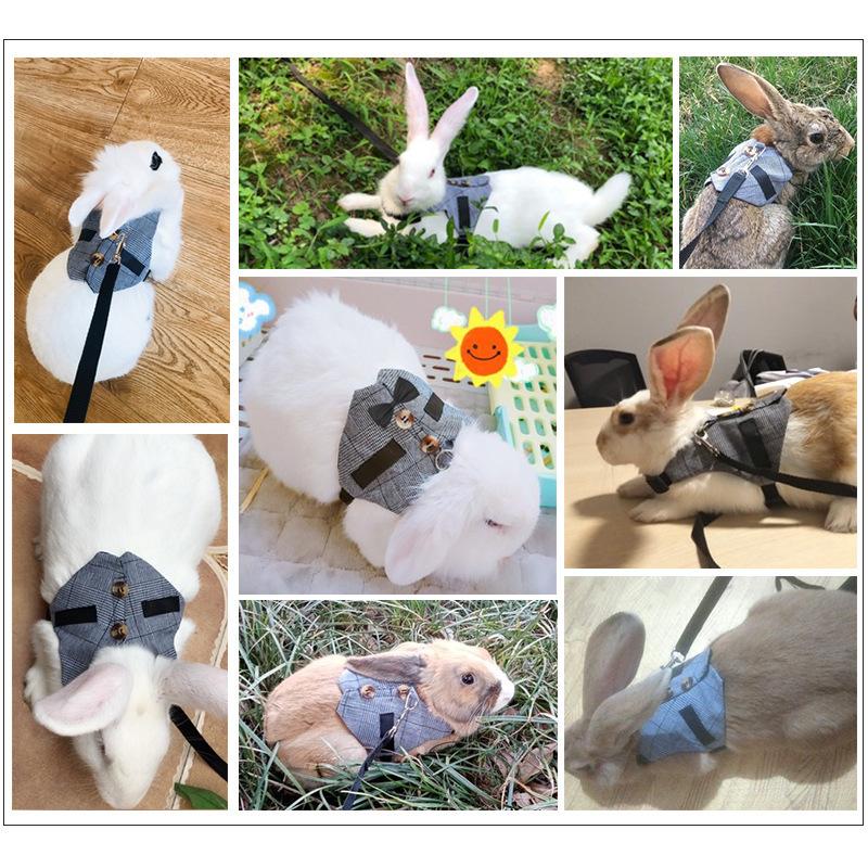 小動物用ハーネス リード 2点セット 兎用 ウサギ スーツベスト ペット用品 ペットグッズ グレー ボタン 柔らかい かわいい おしゃれ お散歩 お出 Pet おとりよせ Com 通販 Yahoo ショッピング