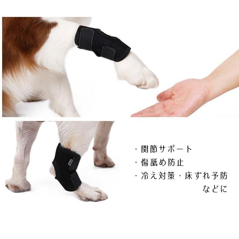 関節サポーター ペット用 犬用 猫用 単品 プロテクター ショートタイプ 関節サポート 固定 リハビリ 床ずれ予防 冷え防止 マジックテープ 調節可能 Pet おとりよせ Com 通販 Yahoo ショッピング