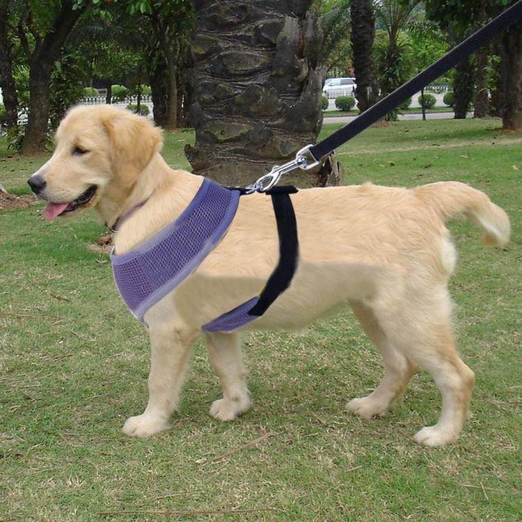 ハーネス リード 犬 小型犬 中型犬 ハーネスリードセット 引っ張り防止 安全帯 可愛い かっこいい おしゃれ 網目 Pet おとりよせ Com 通販 Yahoo ショッピング