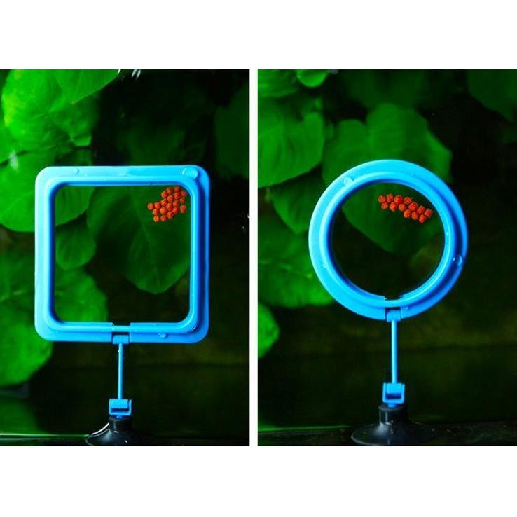 フィーダーカップ 魚用えさ皿 餌入れ エサ入れ 給餌 水槽用 吸盤 くっつく 浮かぶ フロート 拡散防止 丸 円形 四角 スクエア 金魚 熱帯魚 鑑賞 Pet おとりよせ Com 通販 Yahoo ショッピング