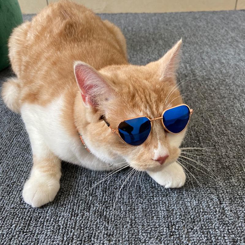 ペット用アクセサリー サングラス ペット用品 ペットグッズ めがね メガネ 眼鏡 犬 猫 ドッグ キャット おしゃれ かわいい かっこいい おめかし Pet おとりよせ Com 通販 Yahoo ショッピング