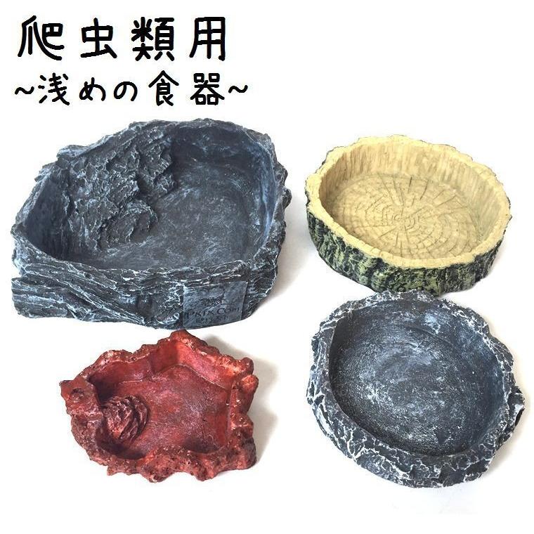市場 Kisata 給餌ボウル カメ 爬虫類 亀 摂食皿 かめのえさ 餌入れ ペットボウル 食器 ステンレス 円型ケージ