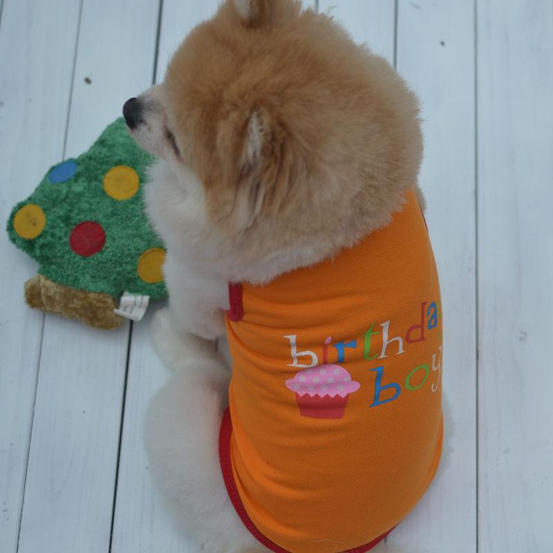 ペット用 犬 ドッグウェア 犬用 洋服 袖なし プルオーバー ノースリーブ 英字 英語 誕生日 バースデイ birthday 男の子 女の子 boy｜mignonlindo｜04